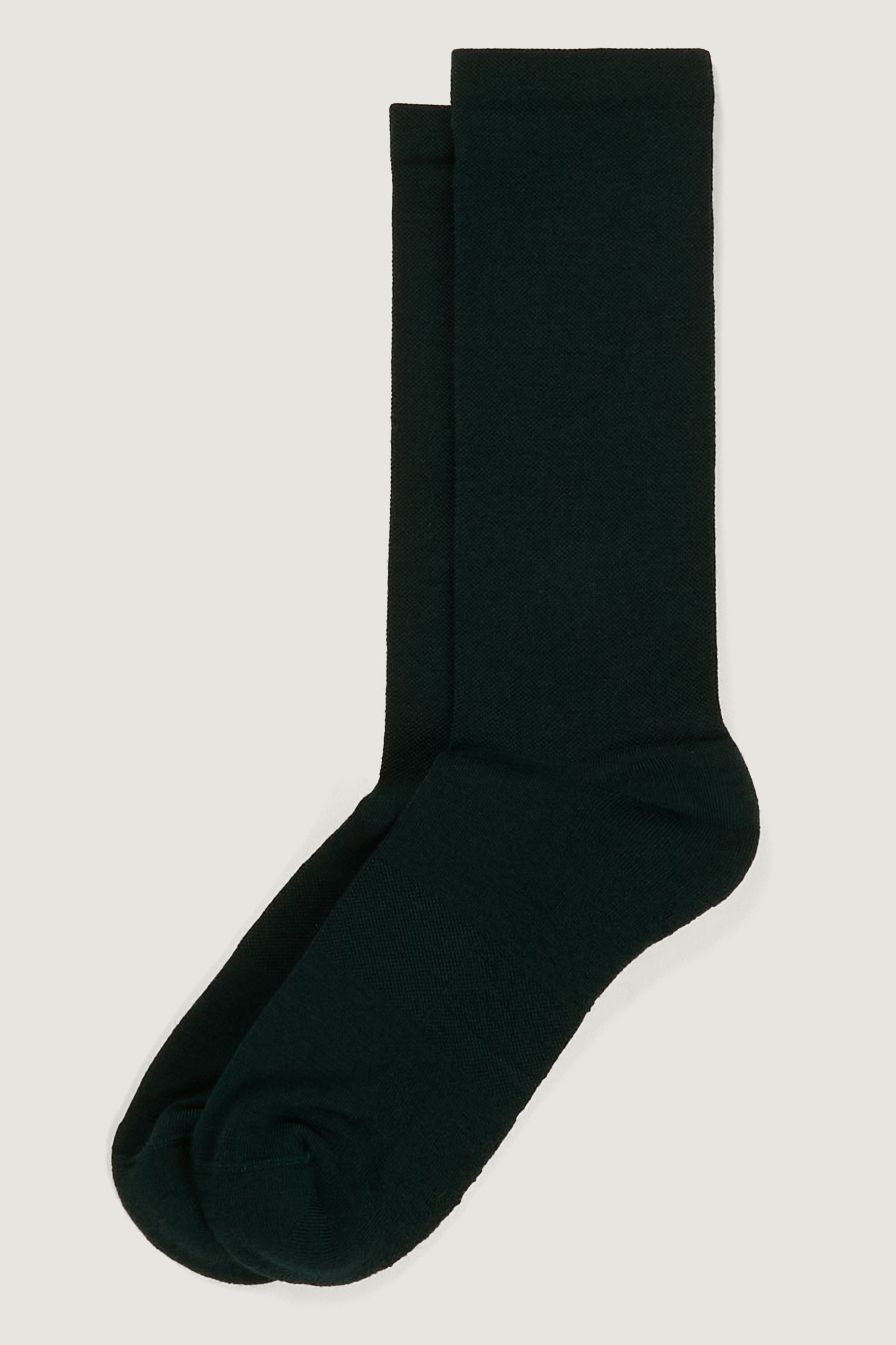 Felix socks in forest green